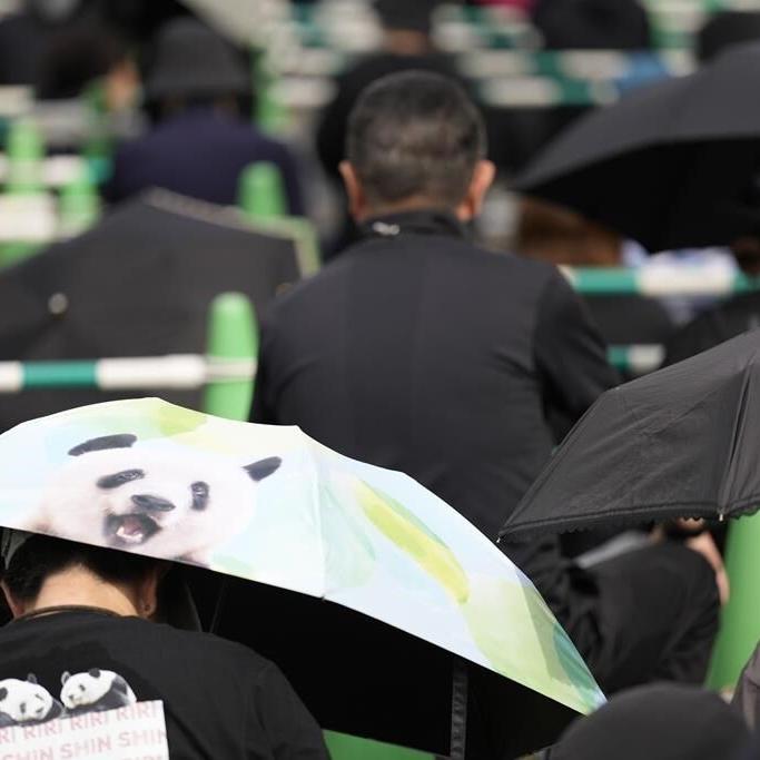 Japanese fans bid farewell to beloved panda pair before their return to China